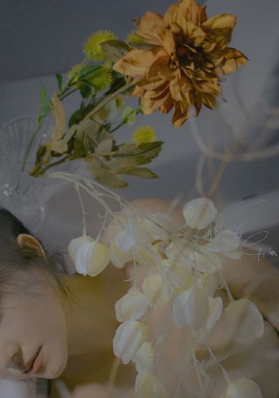 明星换脸在线_HD免费观看韩国